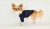 Longsleeve ZAWSZE BLACK&WHITE