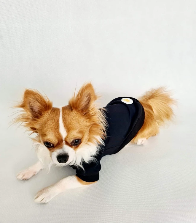 Bluza ZAWSZE BLACK&WHITE