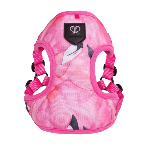 Puszorki Pink Aruba
