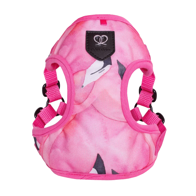 Puszorki Pink Aruba