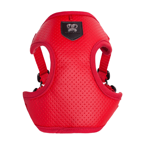 Puszorki Red Molet