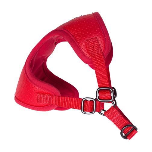 Puszorki Red Molet