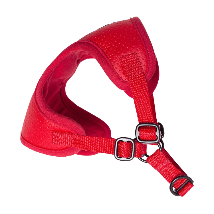 Puszorki Red Molet