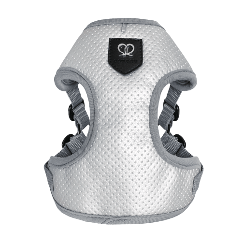 Puszorki Silver Molet