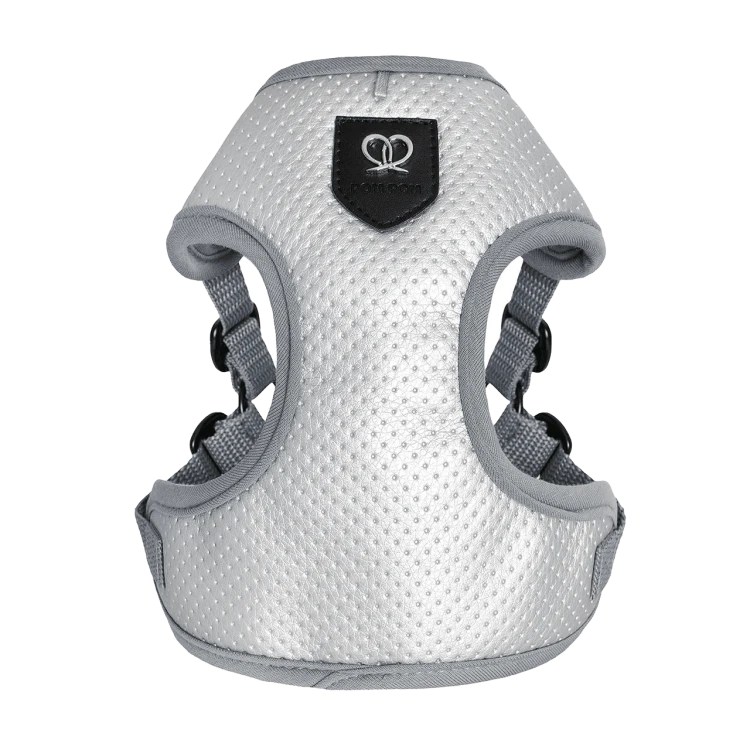 Puszorki Silver Molet