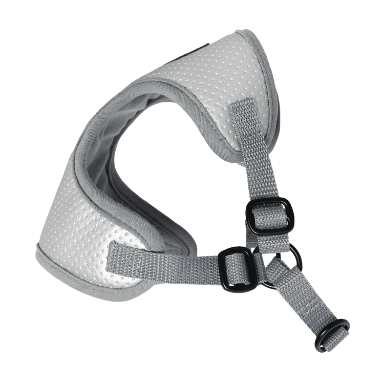 Puszorki Silver Molet