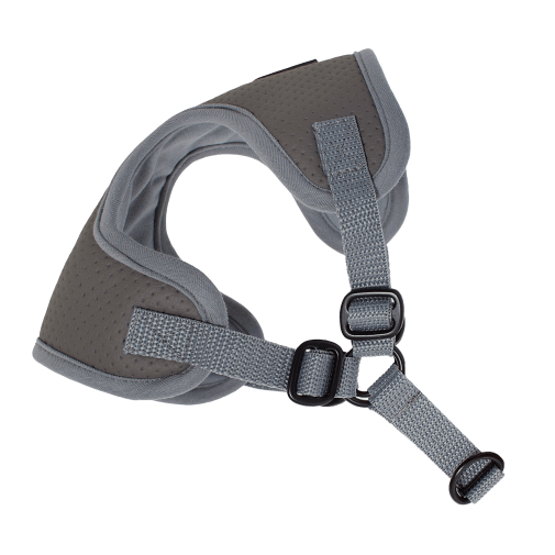 Puszorki Gray Molet