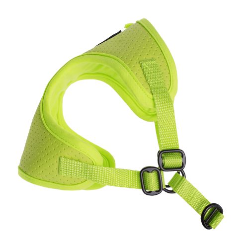 Puszorki Lime Molet