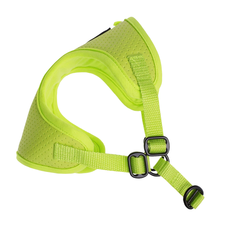 Puszorki Lime Molet