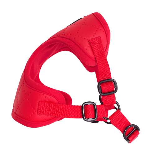 Puszorki Red Diamond