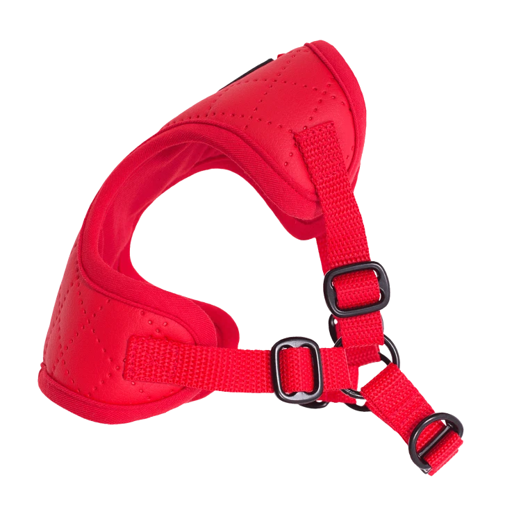 Puszorki Red Diamond