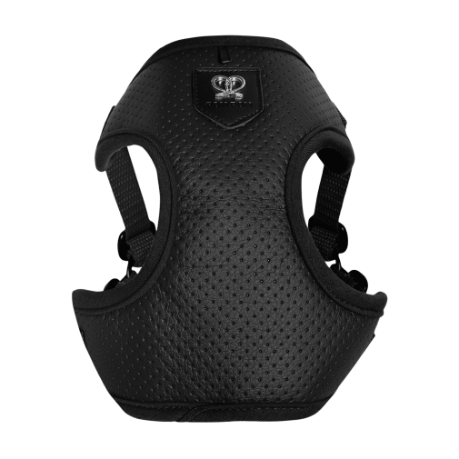 Puszorki All Black Molet