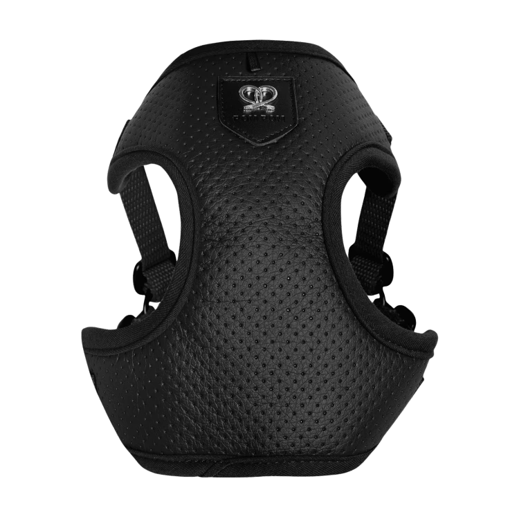 Puszorki All Black Molet