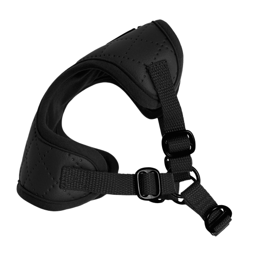 Puszorki All Black Diamond