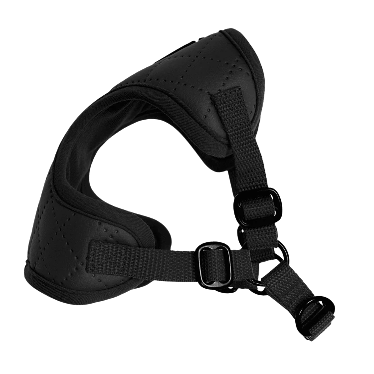 Puszorki All Black Diamond