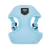 Puszorki BLUE ME
