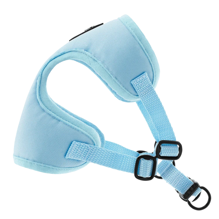 Puszorki BLUE ME