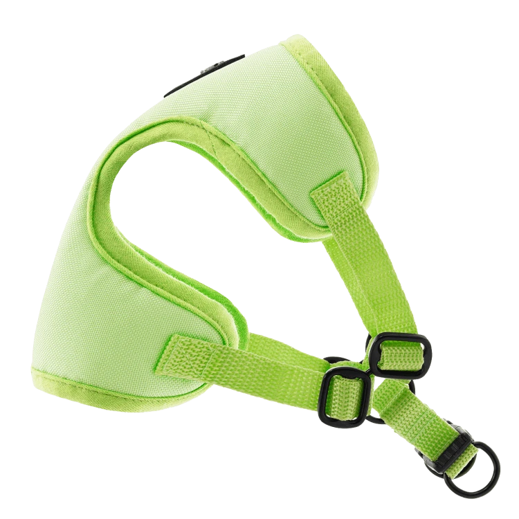 Puszorki GREEN ME