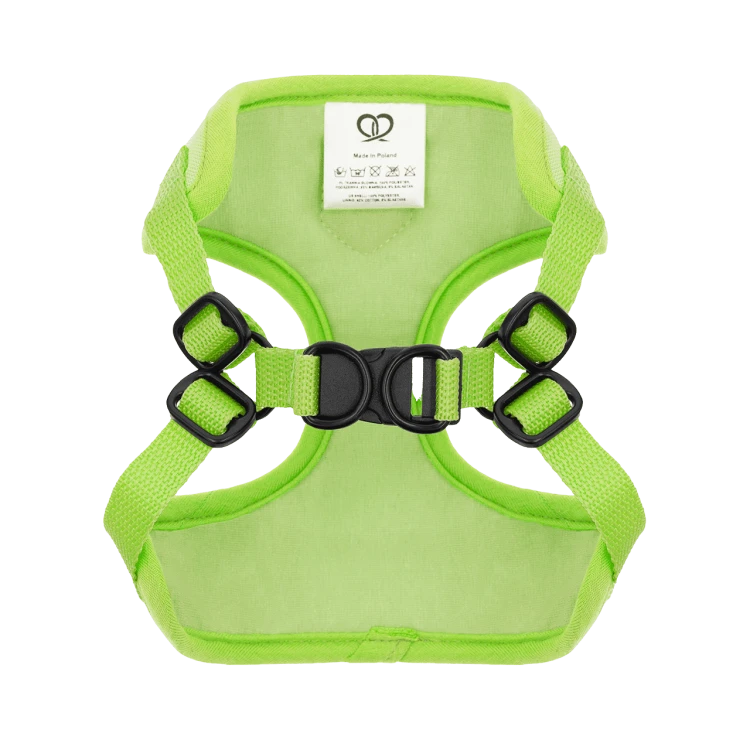 Puszorki GREEN ME