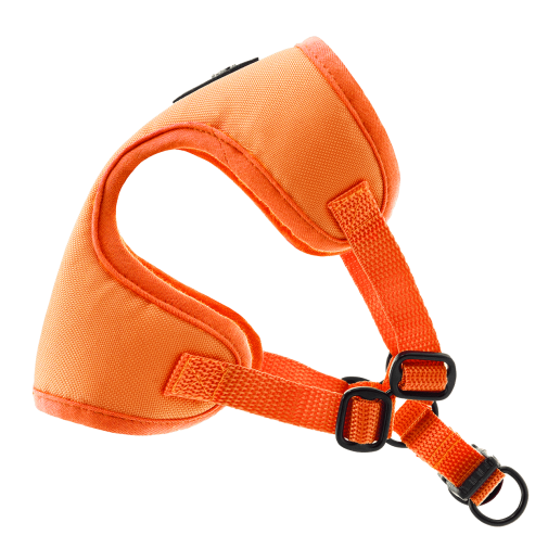 Puszorki ORANGE ME