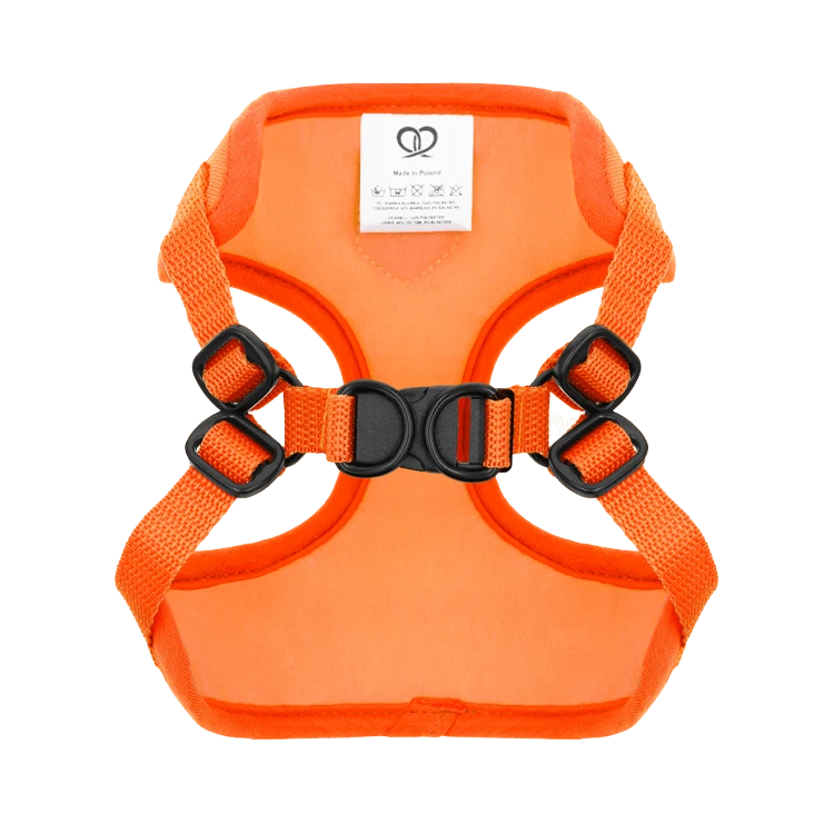 Puszorki ORANGE ME