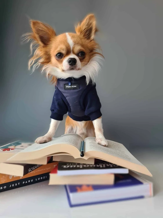 Kamizelka BACK TO SCHOOL