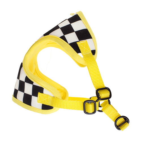 Puszorki Race