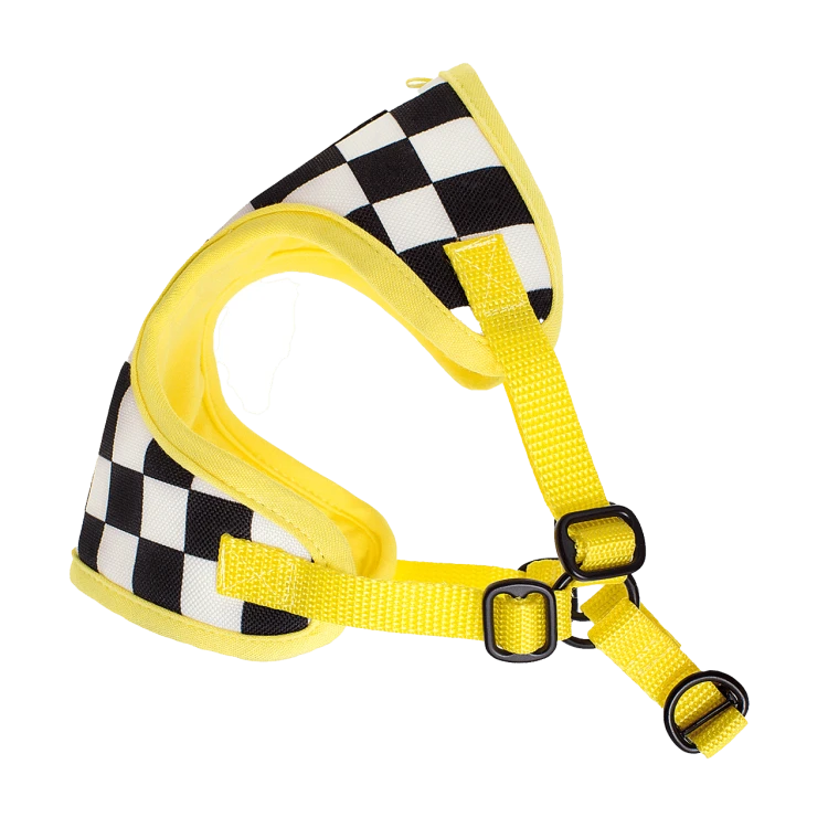 Puszorki Race