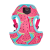 Puszorki Watermelon Juice