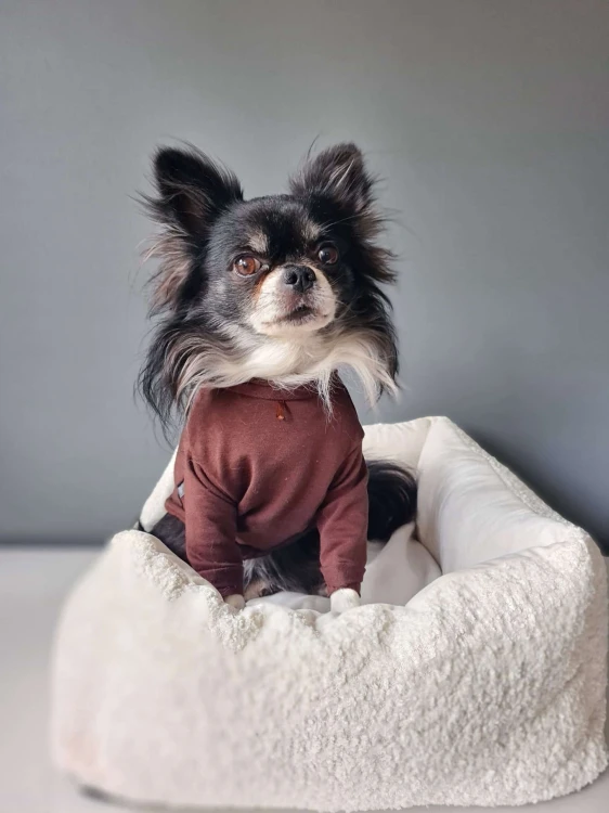 Longsleeve CHOCOLOVE