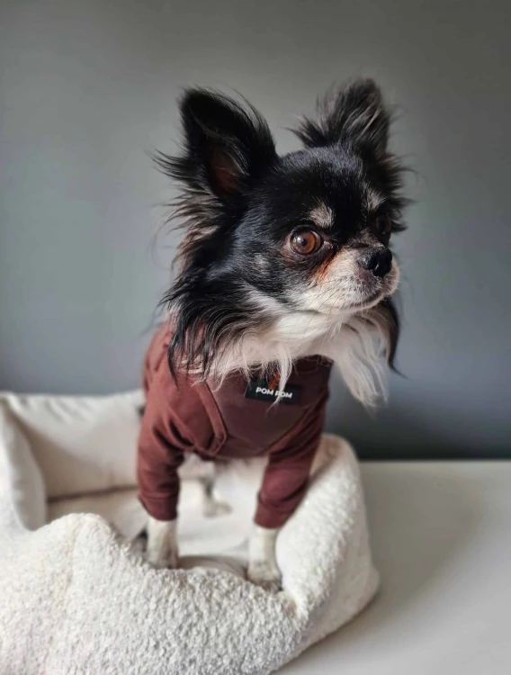 Longsleeve CHOCOLOVE